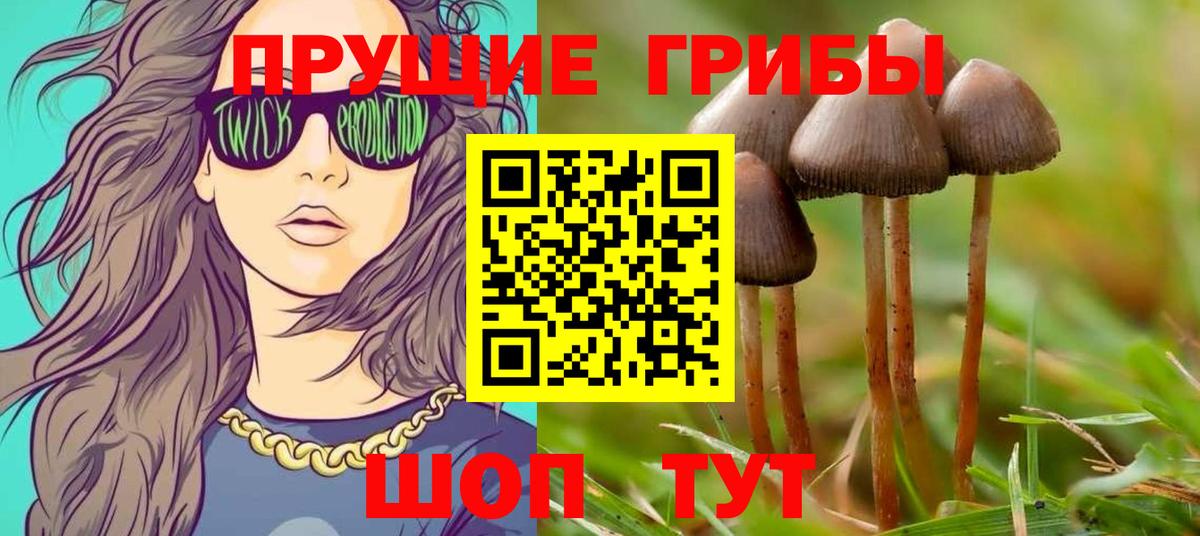 Кольчугино  цена наркотик  Вход с VPN  Псилоцибиновые грибы Psilocybe 