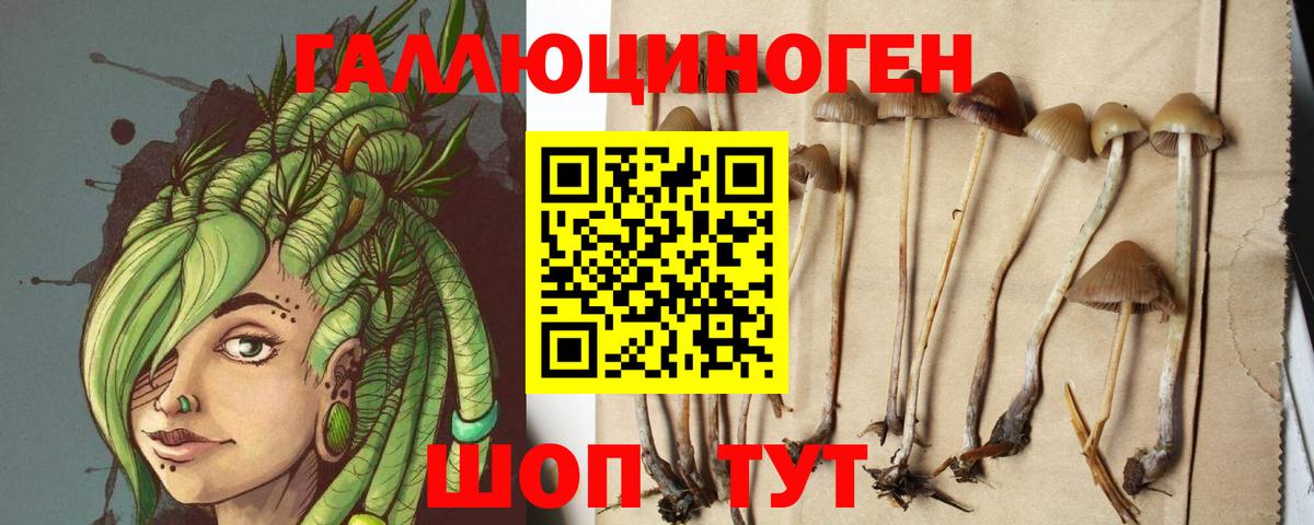Галлюциногенные грибы Magic Shrooms Кольчугино